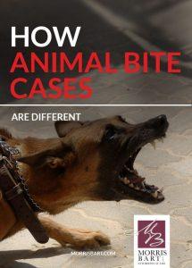 Animal Bite Injury: Can I Be Compensated?