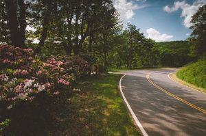 4 Safety Tips for Driving in the Spring – Advice from a Shreveport Auto Accident Lawyer