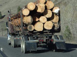 18 wheeler hauling logs on a highway