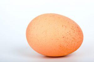 egg, eggshell plaintiff, personal injury