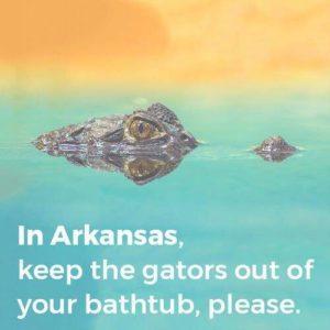 keep your gators out of the tub in Arkansas