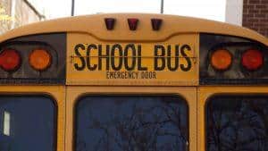 school bus, rear end of a school bus