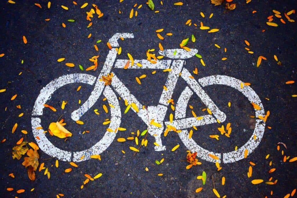 bike path bike symbol in white on asphalt with fall leaves surrounding the symbol