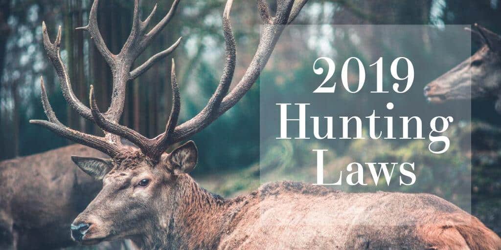 Wabbit or Duck Season? Hunting Laws Demystified Morris Bart, LLC