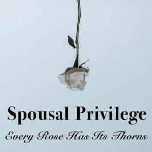 spousal privilege ever rose has its thorn white rose on blue background, square