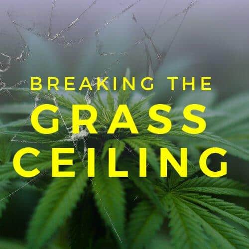 marijuana plant overlaid with broken glass and text reading breaking the grass ceiling